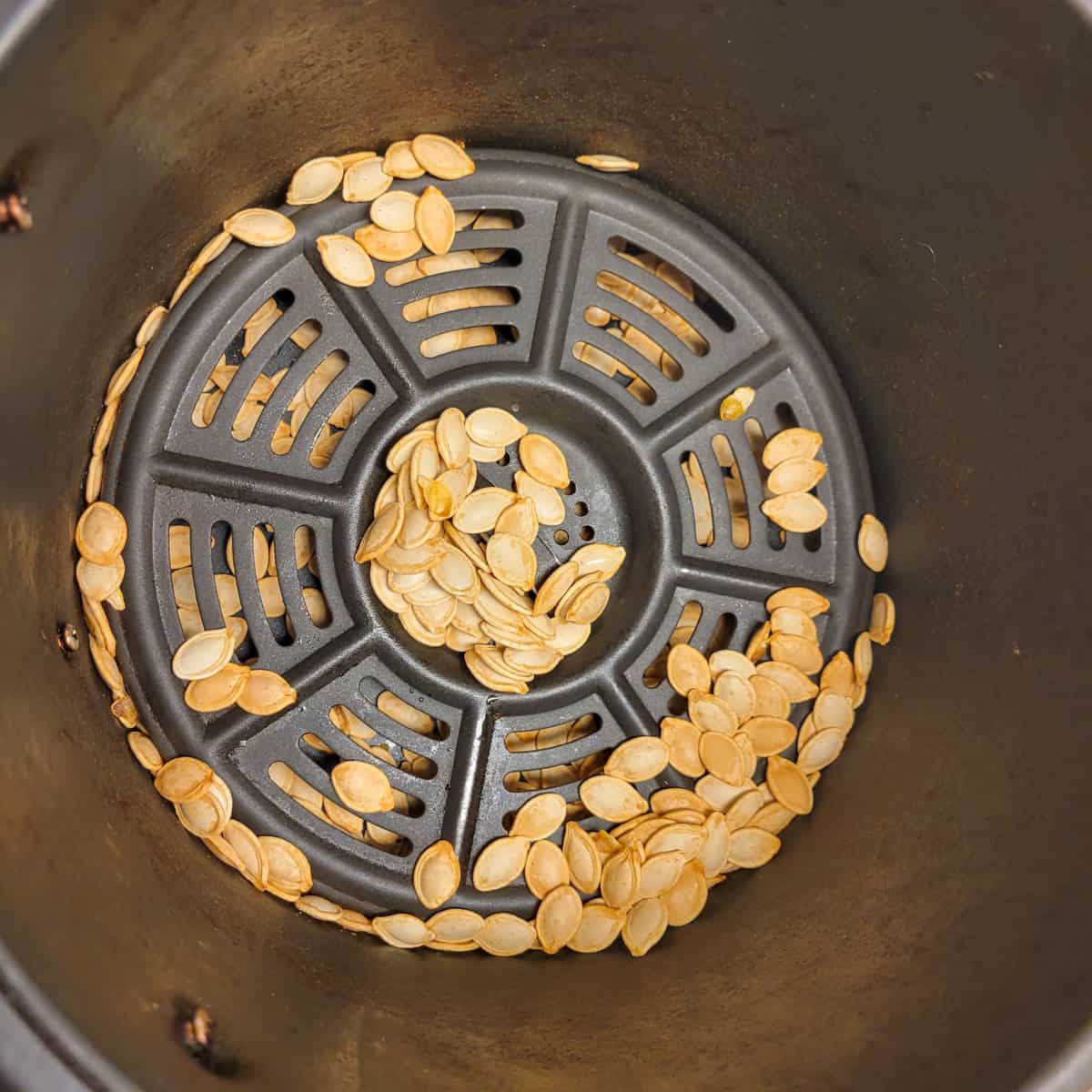 Cooked pumpkin seeds under the grate of the air fryer in the basket.
